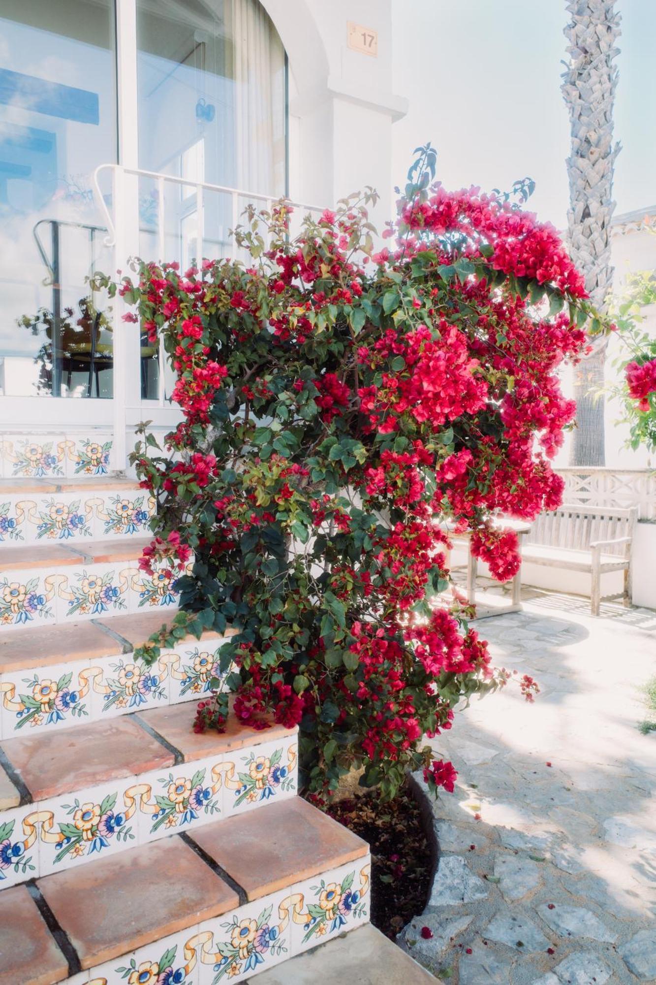 テウラーダ Casa Bianca 2ヴィラ エクステリア 写真